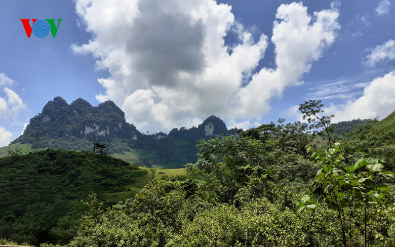 Tuyên Quang: Áp dụng hiệu quả công nghệ quản lý, bảo vệ rừng (4/12/2019)